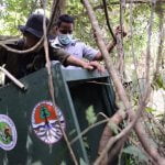 Melepasliarkan Empat kukang dan dua musang di hutan Bangka Melepasliarkan Empat kukang dan dua musang di hutan Bangka