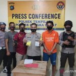 Terbaru: Polres Bangka Barat ungkap pemilik 1.000 butir pil Berbahaya Terbaru: Polres Bangka Barat ungkap pemilik 1.000 butir pil Berbahaya