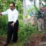 Unik, Penemuan batu nisan berbentuk alat kelamin pria di Sumbar Unik, Penemuan batu nisan berbentuk alat kelamin pria di Sumbar