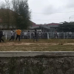 Terbaru!! Amankan Aset, PT Timah Pagar Kawasan Belakang Pujako Terbaru!! Amankan Aset, PT Timah Pagar Kawasan Belakang Pujako