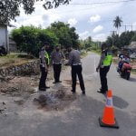 Satu Pengendara Tewas Akibat Adu Kambing di Jalan Teluk Limau Satu Pengendara Tewas Akibat Adu Kambing di Jalan Teluk Limau